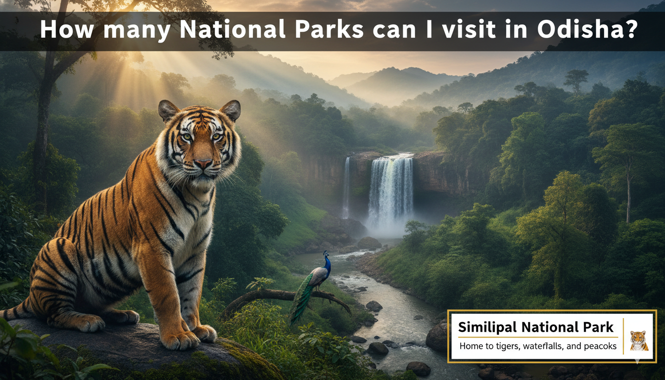 Explore Odisha: National Parks, Culture, and Essential Facts for 2026