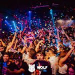 Wolf Disco