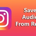 Instagram Audio Downloader